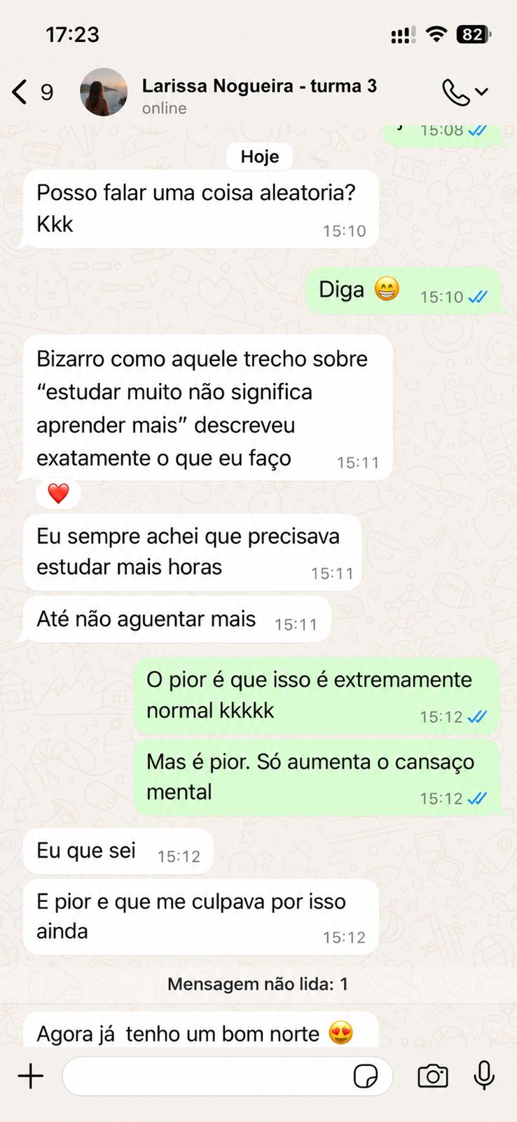 Print de mensagem da aluna Larissa Nogueira